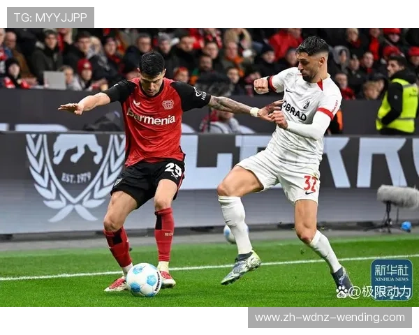 球队进德甲视频：各球队晋级德甲的关键比赛回顾